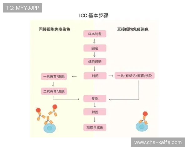 凯发集团会员注册流程操作流程,详细讲解每个环节的具体操作步骤